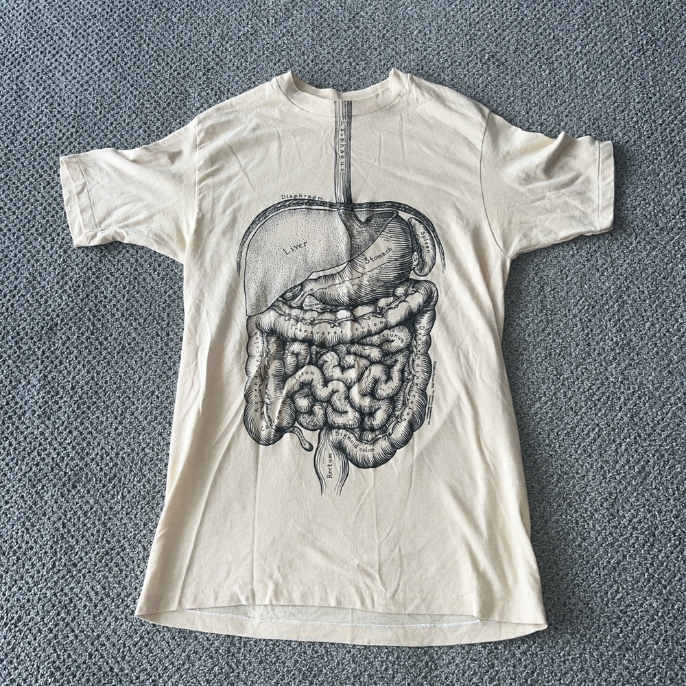 Rare Leslie Arwin 1978 Anatomy T Shirt. Single Stitch Vintage Large. Digestive